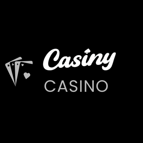 Complete Guide to Casiny Payment Safe and Secure Transactions Complete Guide to Casiny Payment Safe and Secure Transactions