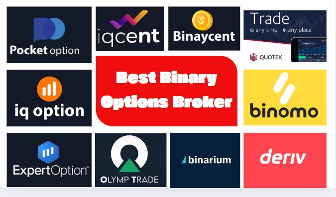 The Best Colour Trading App Colour Trading Best App The Best Colour Trading App Colour Trading Best App